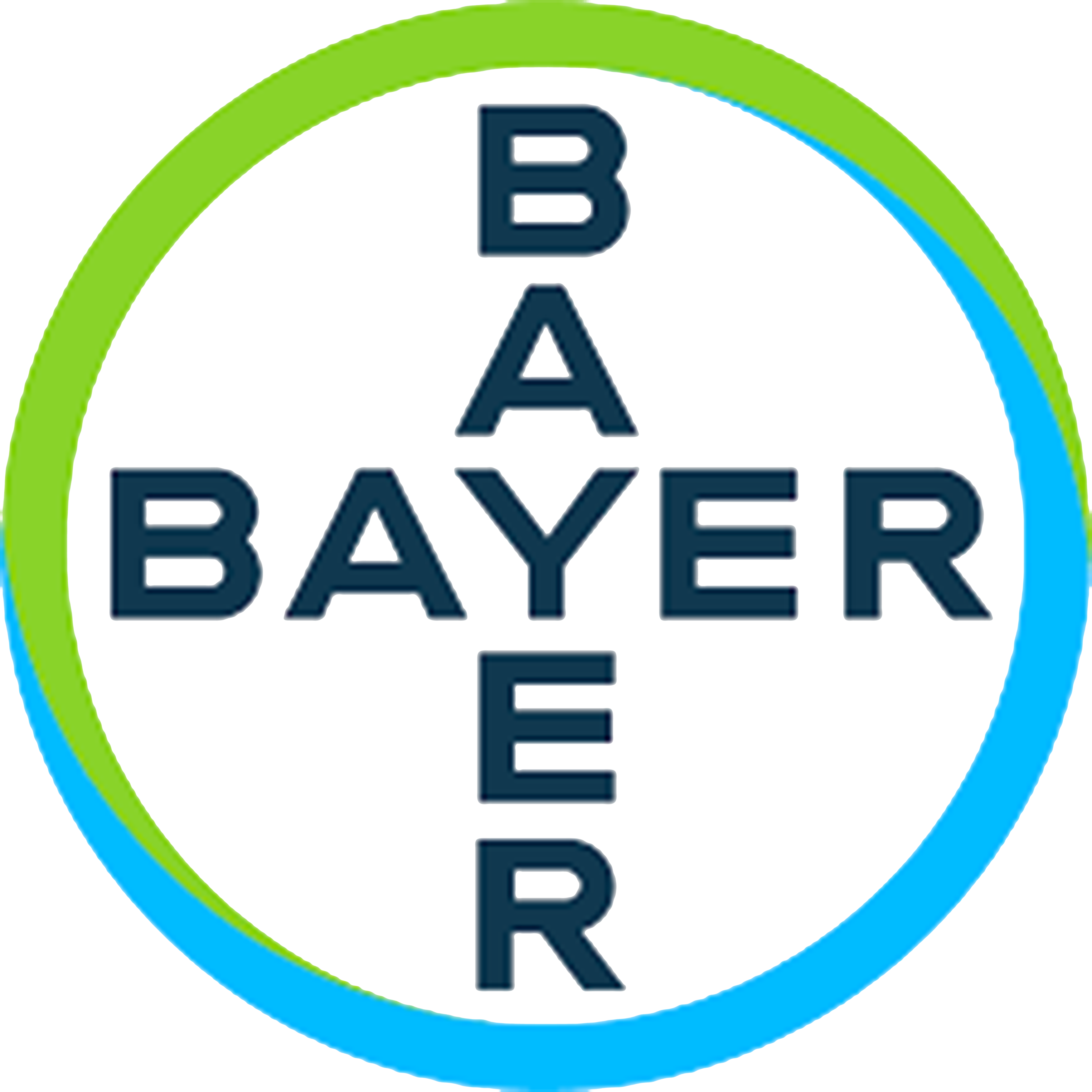 Partner Logo